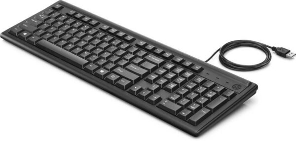 HP Keyboard USB 100