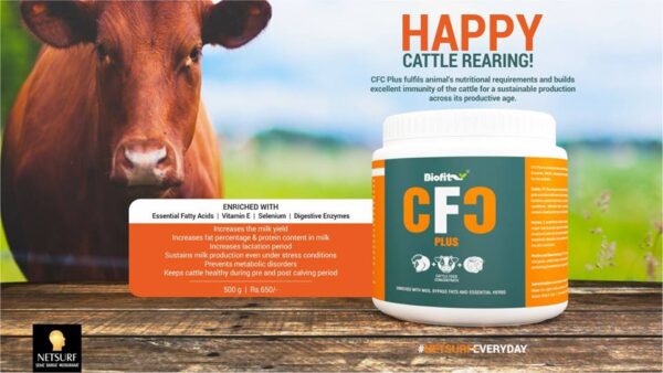 Nutritional Food Cattle Feed CFC Plus Biofit Netsurf 500Gms