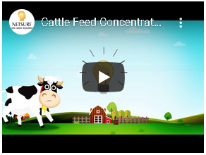 Cattle Feed CFC Plus Biofit Netsurf 500gms Youtube Video