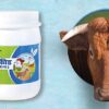 Cattle Feed Concentrate 280Gm Organic Biofit