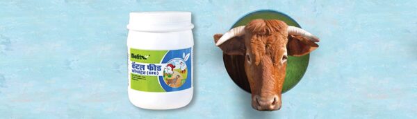 Cattle Feed Concentrate 280Gm Organic Biofit