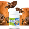 Cattle Feed Concentrate Netsurf Biofit