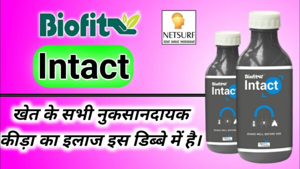Netsurf Biofit Intact in Hindi