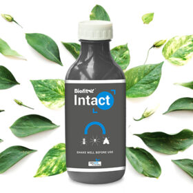 Netsurf Biofit Intact - Pest Repellant