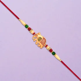 Bhai Ki Rakhi – A Thread of Emotion, Tied with a Promise