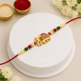 Bhai Ki Rakhi: A Sister's Heartfelt Promise